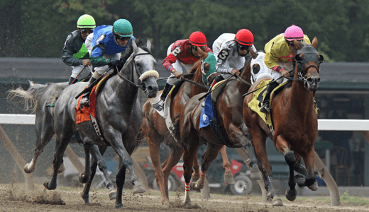 Derby Tickets Inc - Kentucky Derby Tickets Race