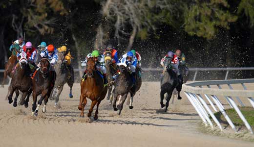 Derby Tickets, Inc - Breeders Cup Saturday