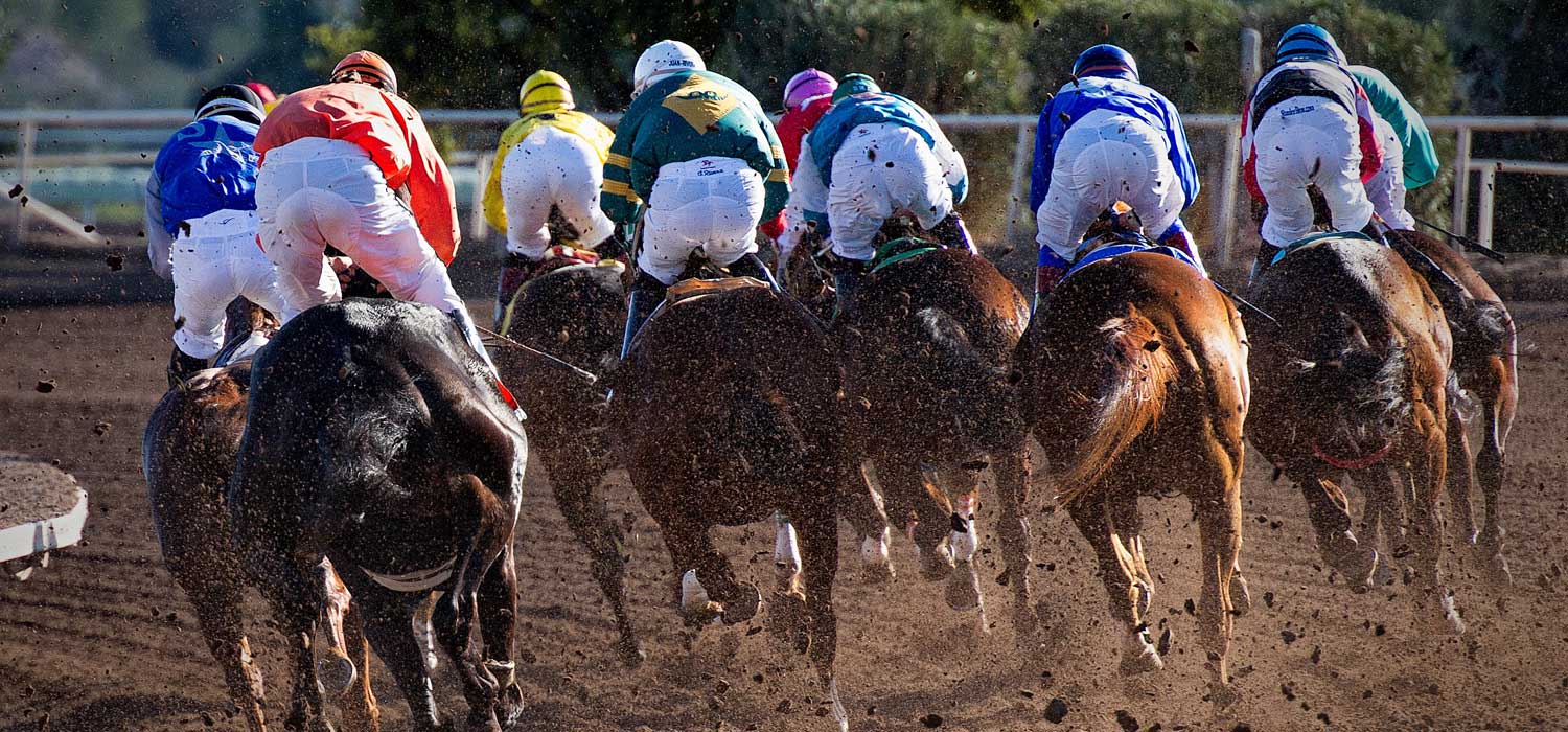 You are currently viewing 2018 Breeder’s Cup