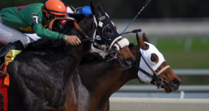 Read more about the article A History of The Kentucky Derby: What to Know as we Race Toward May