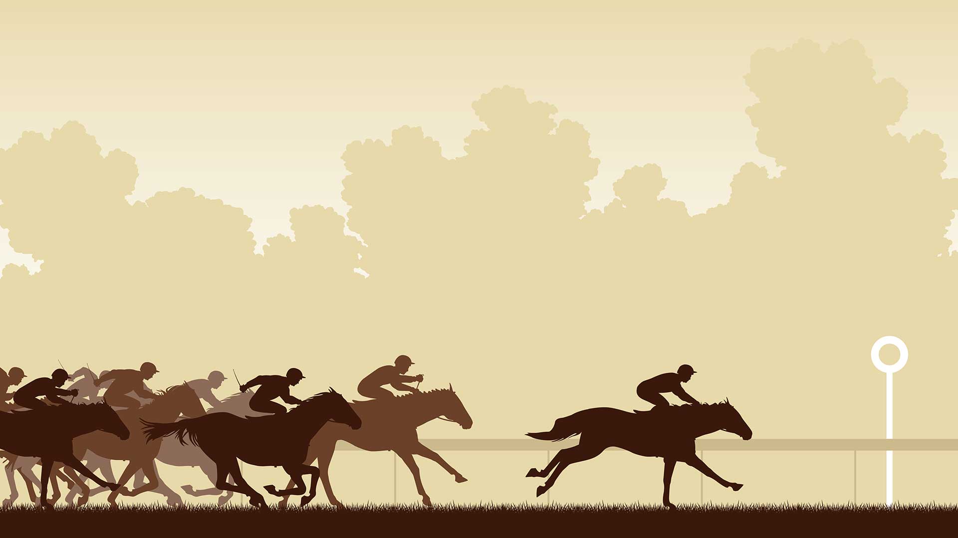 Read more about the article Understanding Horse Racing: Betting Terminology