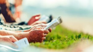 Read more about the article Understanding Horse Racing: Race Day Essentials